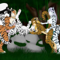 1341026221.accelo_byakko