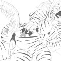 Anailaigh Miezekatze by max dragon