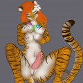 Mieze-by-Acorn