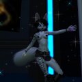 Snapshot_113