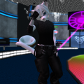 Snapshot_219