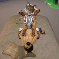 Snapshot_063