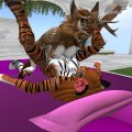 Snapshot_365