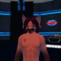 Snapshot_090