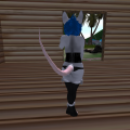 Snapshot_173