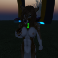 Snapshot_057