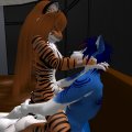 Snapshot_213