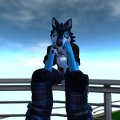 Snapshot_264