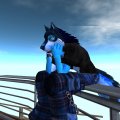 Snapshot_265