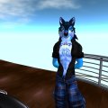 Snapshot_266