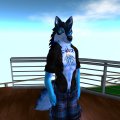 Snapshot_267