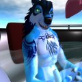 Snapshot_270