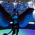 Snapshot_270