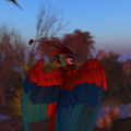 xSnapshot_225