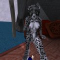 Snapshot_283