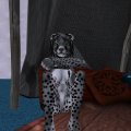 Snapshot_286