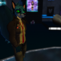 Snapshot_121