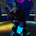 Snapshot_244