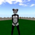 Snapshot_143