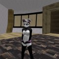 Snapshot_171