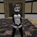 Snapshot_172