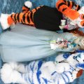 IMG_7628