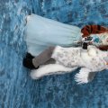 IMG_7822