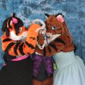 IMG_7891