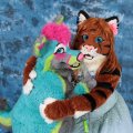 IMG_7954
