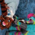 IMG_7973