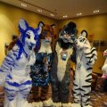 DSC01091