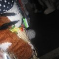 IMG_0501