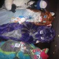 IMG_0505