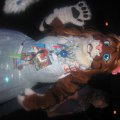 IMG_0507