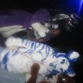 IMG_0509