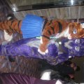 IMG_0559