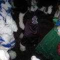 IMG_0629