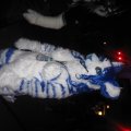 IMG_0636