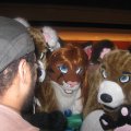 IMG_0678