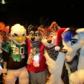 1449677992.sultzz.wolf_sultz_mff_2015_pic_14