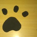 IMAG0269
