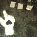 IMAG0273