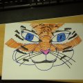 IMAG0284