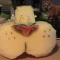 IMAG0296