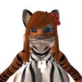 Snapshot_003