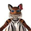 Snapshot_004