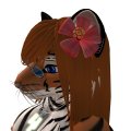 Snapshot_005