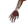 Snapshot_011