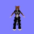 Snapshot_321