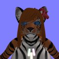 Snapshot_326
